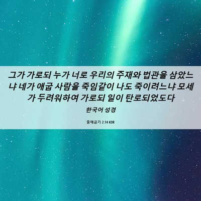 Picture 06 - 출애굽기 2:14 KOR - 그가 가로되 누가 너로 우리의 - Bible Verse Picture