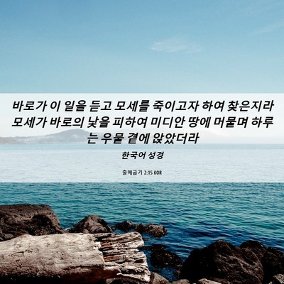 Picture 06 - 출애굽기 2:15 KOR - 바로가 이 일을 듣고 모세를 - Bible Verse Picture
