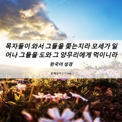 Picture 06 - 출애굽기 2:17 KOR - 목자들이 와서 그들을 쫓는지라 - Bible Verse Picture