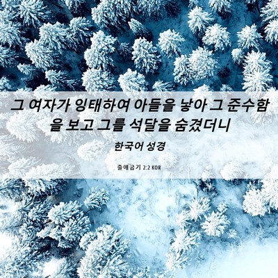 Picture 06 - 출애굽기 2:2 KOR - 그 여자가 잉태하여 아들을 낳아 그 - Bible Verse Picture