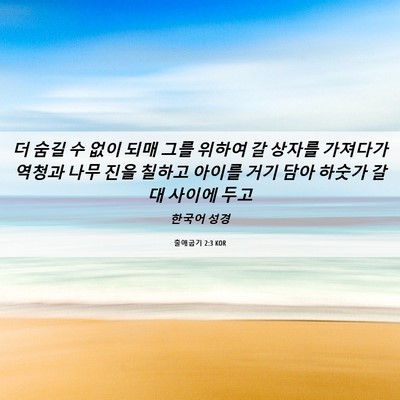 Picture 06 - 출애굽기 2:3 KOR - 더 숨길 수 없이 되매 그를 위하여 갈 - Bible Verse Picture