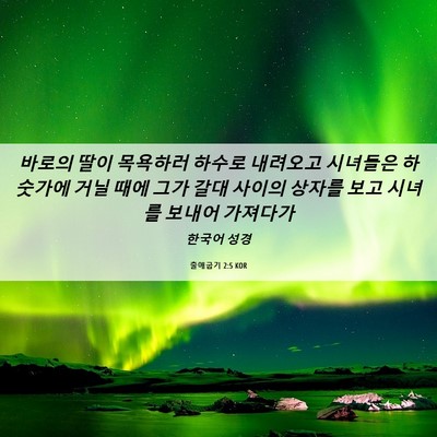 Picture 06 - 출애굽기 2:5 KOR - 바로의 딸이 목욕하러 하수로 - Bible Verse Picture