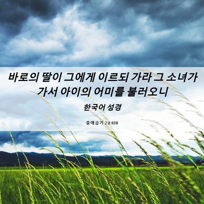 Picture 06 - 출애굽기 2:8 KOR - 바로의 딸이 그에게 이르되 가라 그 - Bible Verse Picture