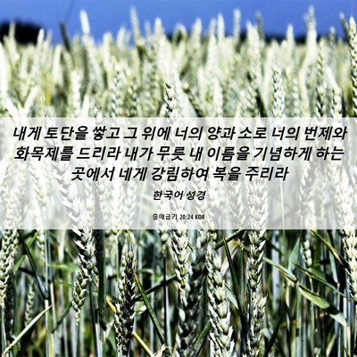 Picture 06 - 출애굽기 20:24 KOR - 내게 토단을 쌓고 그 위에 너의 양과 - Bible Verse Picture