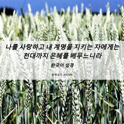 Picture 06 - 출애굽기 20:6 KOR - 나를 사랑하고 내 계명을 지키는 - Bible Verse Picture