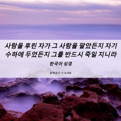 Picture 06 - 출애굽기 21:16 KOR - 사람을 후린 자가 그 사람을 - Bible Verse Picture