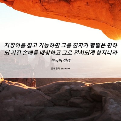 Picture 06 - 출애굽기 21:19 KOR - 지팡이를 짚고 기동하면 그를 친자가 - Bible Verse Picture