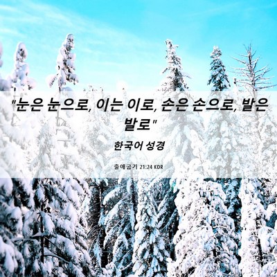 Picture 06 - 출애굽기 21:24 KOR - 
