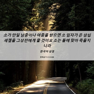 Picture 06 - 출애굽기 21:32 KOR - 소가 만일 남종이나 여종을 받으면 - Bible Verse Picture