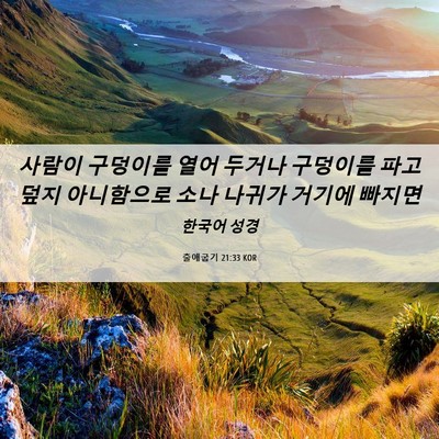 Picture 06 - 출애굽기 21:33 KOR - 사람이 구덩이를 열어 두거나 - Bible Verse Picture
