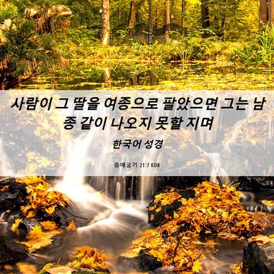 Picture 06 - 출애굽기 21:7 KOR - 사람이 그 딸을 여종으로 팔았으면 - Bible Verse Picture