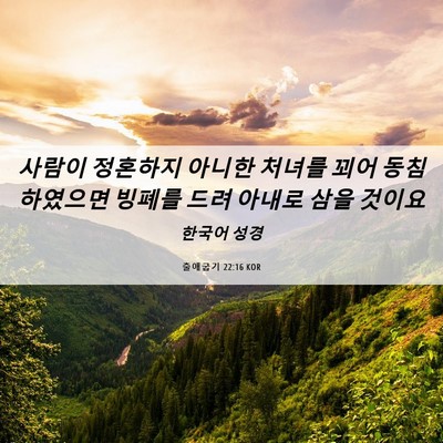 Picture 06 - 출애굽기 22:16 KOR - 사람이 정혼하지 아니한 처녀를 꾀어 - Bible Verse Picture