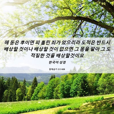 Picture 06 - 출애굽기 22:3 KOR - 해 돋은 후이면 피 흘린 죄가 - Bible Verse Picture