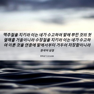 Picture 06 - 출애굽기 23:16 KOR - 맥추절을 지키라 이는 네가 수고하여 - Bible Verse Picture