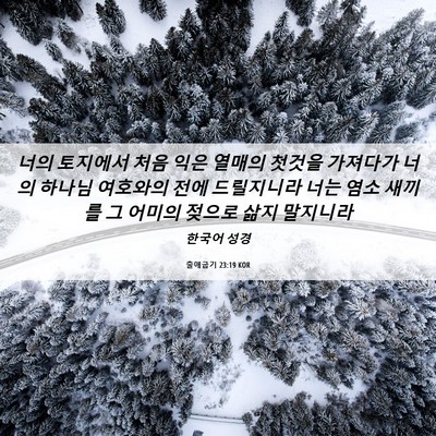 Picture 06 - 출애굽기 23:19 KOR - 너의 토지에서 처음 익은 열매의 - Bible Verse Picture
