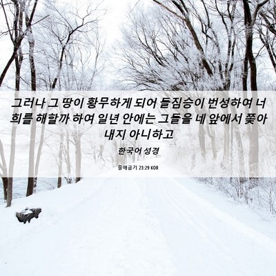 Picture 06 - 출애굽기 23:29 KOR - 그러나 그 땅이 황무하게 되어 - Bible Verse Picture