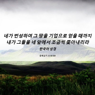 Picture 06 - 출애굽기 23:30 KOR - 네가 번성하여 그 땅을 기업으로 - Bible Verse Picture