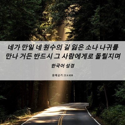 Picture 06 - 출애굽기 23:4 KOR - 네가 만일 네 원수의 길 잃은 소나 - Bible Verse Picture