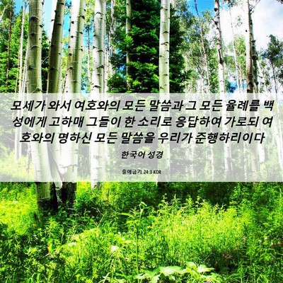 Picture 06 - 출애굽기 24:3 KOR - 모세가 와서 여호와의 모든 말씀과 - Bible Verse Picture