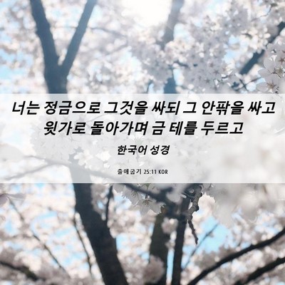 Picture 06 - 출애굽기 25:11 KOR - 너는 정금으로 그것을 싸되 그 - Bible Verse Picture