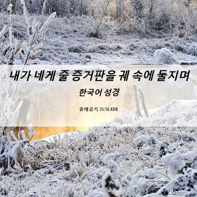 Picture 06 - 출애굽기 25:16 KOR - 내가 네게 줄 증거판을 궤 속에 - Bible Verse Picture