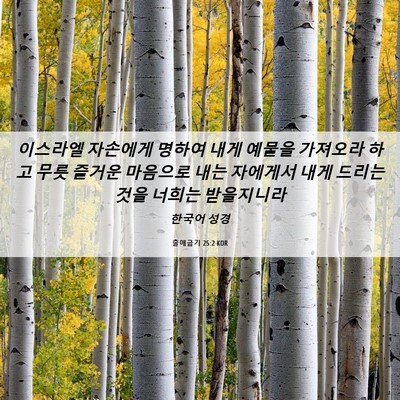 Picture 06 - 출애굽기 25:2 KOR - 이스라엘 자손에게 명하여 내게 - Bible Verse Picture