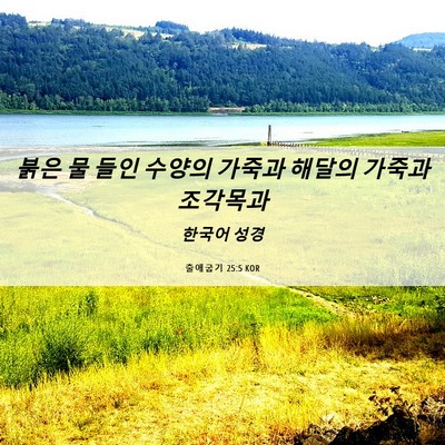 Picture 06 - 출애굽기 25:5 KOR - 붉은 물 들인 수양의 가죽과 해달의 - Bible Verse Picture