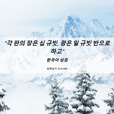 Picture 06 - 출애굽기 26:16 KOR - 
