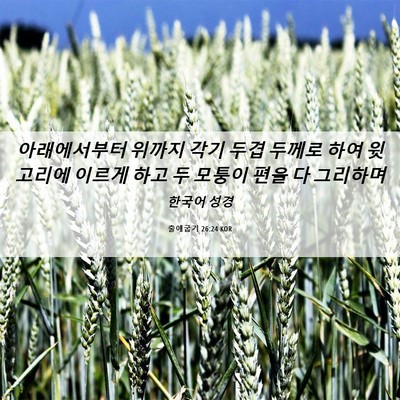 Picture 06 - 출애굽기 26:24 KOR - 아래에서부터 위까지 각기 두겹 - Bible Verse Picture