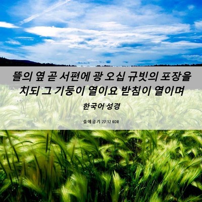 Picture 06 - 출애굽기 27:12 KOR - 뜰의 옆 곧 서편에 광 오십 규빗의 - Bible Verse Picture