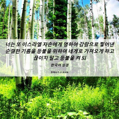 Picture 06 - 출애굽기 27:20 KOR - 너는 또 이스라엘 자손에게 명하여 - Bible Verse Picture