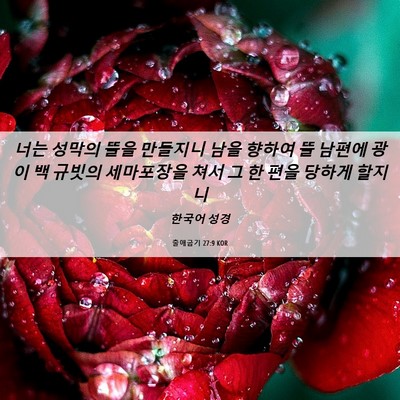 Picture 06 - 출애굽기 27:9 KOR - 너는 성막의 뜰을 만들지니 남을 - Bible Verse Picture