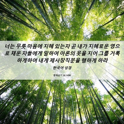 Picture 06 - 출애굽기 28:3 KOR - 너는 무릇 마음에 지혜 있는자 곧 - Bible Verse Picture