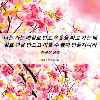 Picture 06 - 출애굽기 28:39 KOR - 너는 가는 베실로 반포 속옷을 짜고 - Bible Verse Picture