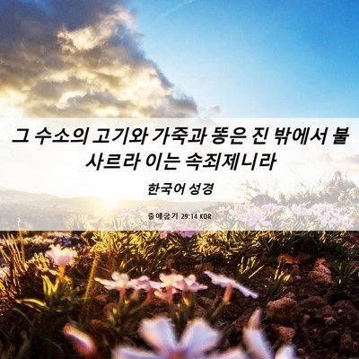 Picture 06 - 출애굽기 29:14 KOR - 그 수소의 고기와 가죽과 똥은 진 - Bible Verse Picture