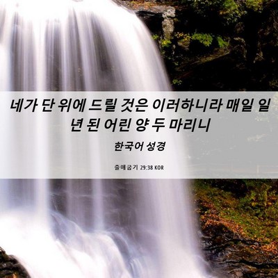 Picture 06 - 출애굽기 29:38 KOR - 네가 단 위에 드릴 것은 이러하니라 - Bible Verse Picture
