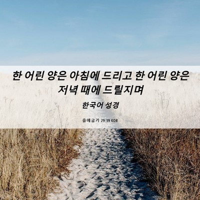 Picture 06 - 출애굽기 29:39 KOR - 한 어린 양은 아침에 드리고 한 어린 - Bible Verse Picture