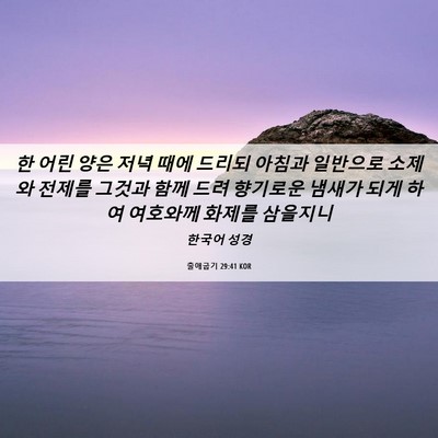 Picture 06 - 출애굽기 29:41 KOR - 한 어린 양은 저녁 때에 드리되 - Bible Verse Picture