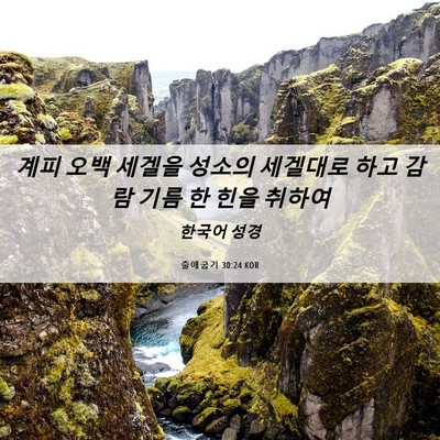 Picture 06 - 출애굽기 30:24 KOR - 계피 오백 세겔을 성소의 세겔대로 - Bible Verse Picture