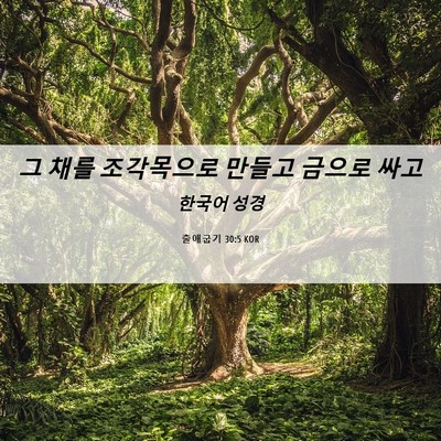 Picture 06 - 출애굽기 30:5 KOR - 그 채를 조각목으로 만들고 금으로 - Bible Verse Picture