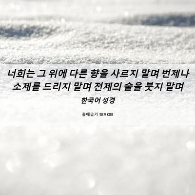 Picture 06 - 출애굽기 30:9 KOR - 너희는 그 위에 다른 향을 사르지 - Bible Verse Picture