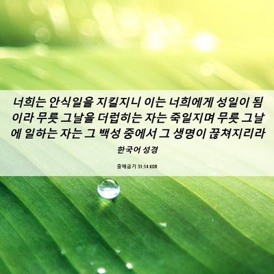 Picture 06 - 출애굽기 31:14 KOR - 너희는 안식일을 지킬지니 이는 - Bible Verse Picture
