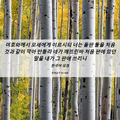 Picture 06 - 출애굽기 34:1 KOR - 여호와께서 모세에게 이르시되 너는 - Bible Verse Picture