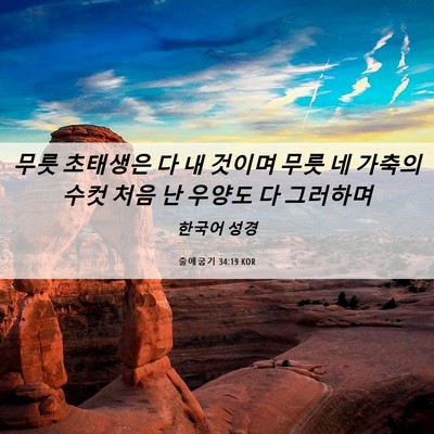 Picture 06 - 출애굽기 34:19 KOR - 무릇 초태생은 다 내 것이며 무릇 네 - Bible Verse Picture