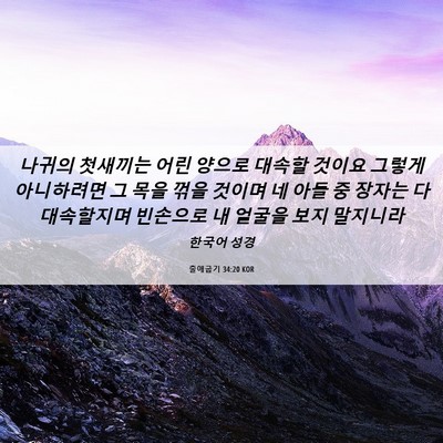 Picture 06 - 출애굽기 34:20 KOR - 나귀의 첫새끼는 어린 양으로 대속할 - Bible Verse Picture