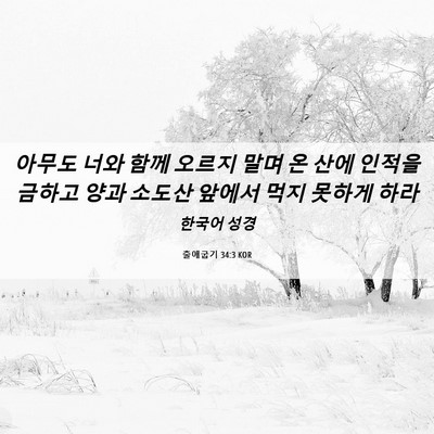 Picture 06 - 출애굽기 34:3 KOR - 아무도 너와 함께 오르지 말며 온 - Bible Verse Picture