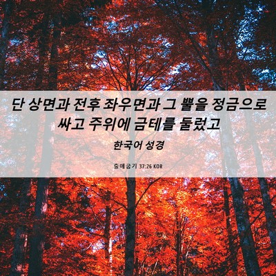 Picture 06 - 출애굽기 37:26 KOR - 단 상면과 전후 좌우면과 그 뿔을 - Bible Verse Picture