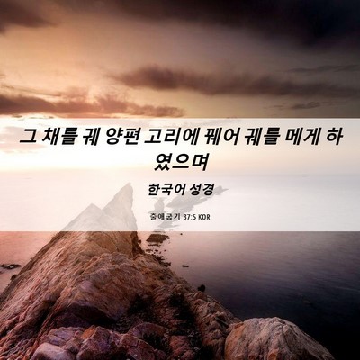 Picture 06 - 출애굽기 37:5 KOR - 그 채를 궤 양편 고리에 꿰어 궤를 - Bible Verse Picture