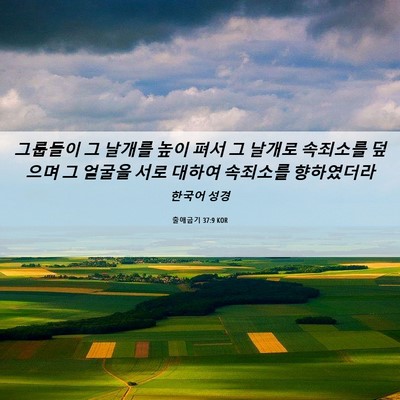 Picture 06 - 출애굽기 37:9 KOR - 그룹들이 그 날개를 높이 펴서 그 - Bible Verse Picture