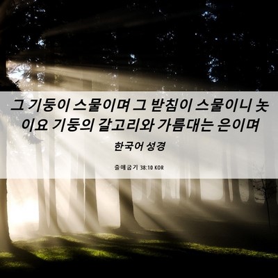 Picture 06 - 출애굽기 38:10 KOR - 그 기둥이 스물이며 그 받침이 - Bible Verse Picture